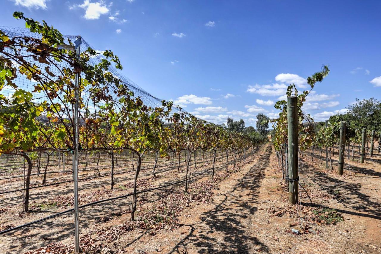 فيلا Escondido Vineyard Estate Walk To Wineries! المظهر الخارجي الصورة